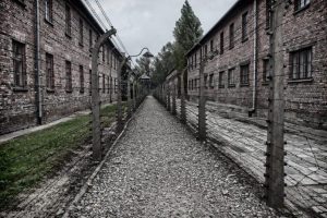 Rzeszowianka z Listy Schindlera. Niezwykła opowieść powraca do biblioteki