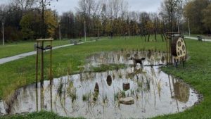 Zielone inwestycje w Rzeszowie. Czy ogrody deszczowe ograniczają przestrzeń dla pieszych?