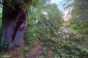 Burze i powalone drzewa na Podkarpaciu. Strażacy interweniowali ponad 370 razy [ZDJĘCIA]