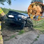 Kierowca zasnął za kierownicą? Dwie kobiety i pies trafili pod opiekę ratowników