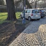 Mandaty sypią się jak z rękawa. Kierowcy mają za nic zakaz parkowania na al. Pod Kasztanami