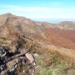 Bieszczady nie zdobyły podium, ale wciąż kuszą wolnością i dzikością