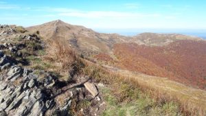 Bieszczady nie zdobyły podium, ale wciąż kuszą wolnością i dzikością