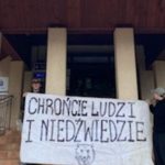 Burza wokół niedźwiedzi w Cisnej. Gmina zapowiada zaskarżenie decyzji własnego wniosku o odstrzał