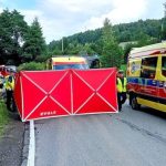 Czołówka osobówki z ciężarówką do przewozu zwierząt. Kierująca zakleszczona w samochodzie [ZDJĘCIA]