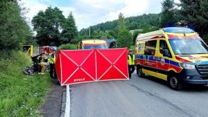 Czołówka osobówki z ciężarówką do przewozu zwierząt. Kierująca zakleszczona w samochodzie [ZDJĘCIA]