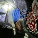 Papierosy, płyn do e-papierosów, a nawet… środki ochrony roślin. KAS ciągle walczy z przemytem
