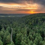 Wypocznij w bliskości z naturą. Odkryj, co warto zobaczyć tego lata na Roztoczu?