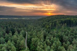 Wypocznij w bliskości z naturą. Odkryj, co warto zobaczyć tego lata na Roztoczu?