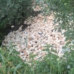 Zanieczyszczenie rzeki. Koszty sprzątania obciążą mieszkańców
