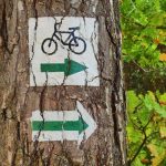 30 mln złotych na budowę ponad 16 km ścieżek pieszo-rowerowych. Wielka inwestycja w powiecie niżańskim