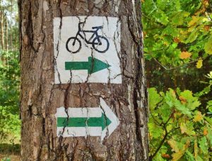 30 mln złotych na budowę ponad 16 km ścieżek pieszo-rowerowych. Wielka inwestycja w powiecie niżańskim