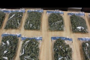 Do 12 lat więzienia dla 27-latka sprzedającego narkotyki. Posiadał 3,5 kg marihuany