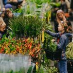 Festiwal Roślin w Rzeszowie już w ten weekend! Zielone święto wraca do Hali Podpromie