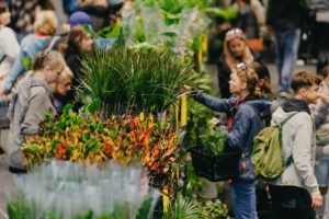 Festiwal Roślin w Rzeszowie już w ten weekend! Zielone święto wraca do Hali Podpromie
