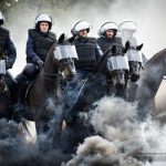 Konie w policji. Do czego są potrzebne i jak wygląda ich egzamin?