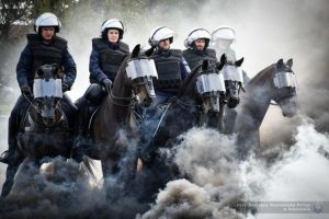 Konie w policji. Do czego są potrzebne i jak wygląda ich egzamin?