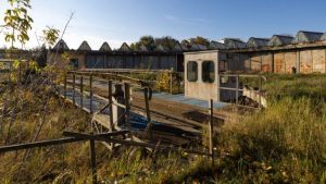 Kultura zamiast płotu, zardzewiałe hale miejscem dla ludzi. Parowozownia w Rzeszowie wraca do życia