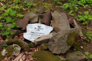 Mogiły z czasów wojen w podkarpackich lasach. W regionie są 53 takie cmentarze