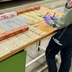 Ponad 2 tys. tabletek na potencję w autokarze z Ukrainy. Leki warte 18 tys. zł w bagażu kierowcy