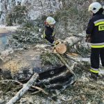 Atak zimy na Podkarpaciu. Blisko 3 tys. interwencji strażaków, drzewo spadło na samochód [WIDEO, ZDJĘCIA]