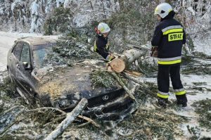Atak zimy na Podkarpaciu. Blisko 3 tys. interwencji strażaków, drzewo spadło na samochód [WIDEO, ZDJĘCIA]