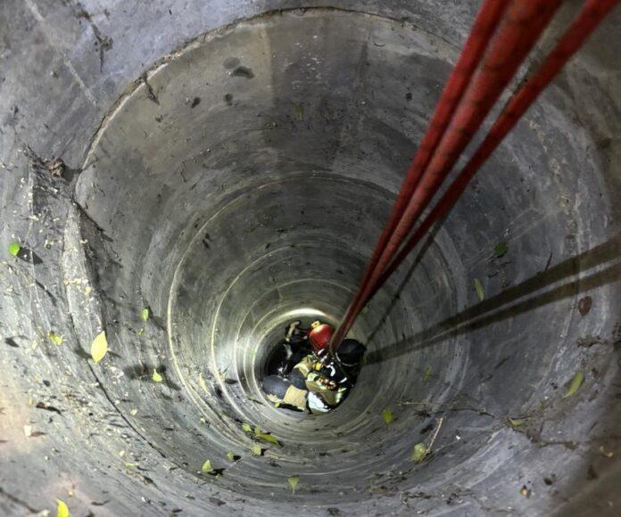 uwieziona-koza-w-studni-6 Koza wpadła do studni. Zwierzęcia nie udało się uratować