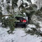 "Oszukać przeznaczenie" - wersja podkarpacka. Potężne drzewo runęło na auto [WIDEO Z WNĘTRZA POJAZDU]