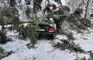 "Oszukać przeznaczenie" - wersja podkarpacka. Potężne drzewo runęło na auto [WIDEO Z WNĘTRZA POJAZDU]