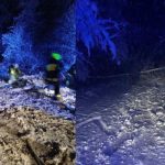 Podkarpacie: Śnieg łamie drzewa i zrywa linie. Strażacy i energetycy w akcji