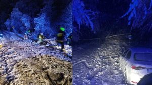 Podkarpacie: Śnieg łamie drzewa i zrywa linie. Strażacy i energetycy w akcji