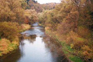 Polsko-ukraińskie rzeki płynące przez Podkarpacie pod lupą. Eksperci poszukają toksycznych substancji