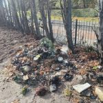 Pożar na cmentarzu na Podkarpaciu. Wiadomo, co było przyczyną [ZDJĘCIA]