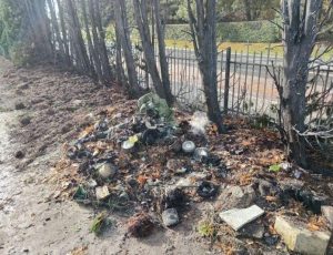 Pożar na cmentarzu na Podkarpaciu. Wiadomo, co było przyczyną [ZDJĘCIA]