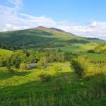 Wielki plan ochrony przyrody na Podkarpaciu. Pod lupą prawie pół miliona hektarów