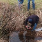 „Dzikie” rury z Podkarpacia. Śmierdziączka, Ryjak i inni cisi odbiorcy ścieków
