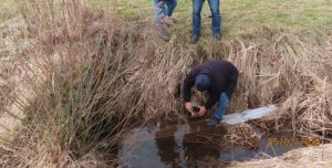 „Dzikie” rury z Podkarpacia. Śmierdziączka, Ryjak i inni cisi odbiorcy ścieków