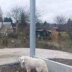 Ekrany akustyczne przy rzeszowskich działkach. Mieszkańcy pełni obaw