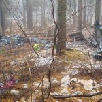 Katastrofa śmigłowca na Podkarpaciu. Helikopter zboczył z kursu i zahaczył o drzewa [ZDJĘCIA]