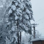 Mieszkańcy Podkarpacia wściekli po tygodniu bez prądu. Rekordziści czekali 8 dni