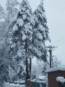 Mieszkańcy Podkarpacia wściekli po tygodniu bez prądu. Rekordziści czekali 8 dni
