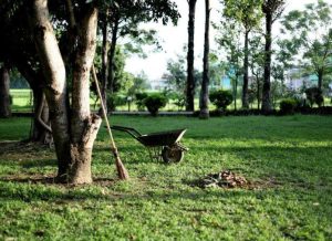 Oferta pracy: Pracownik gospodarczy w Rzeszowie