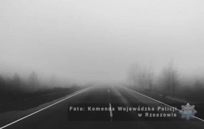 mgła na drodze