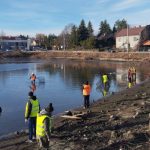 Rewitalizacja Stawu Browarnego w Łańcucie. „Betonoza”, 2 tony ryb i wycięte wspomnienia? [ZDJĘCIA]