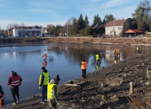 Rewitalizacja Stawu Browarnego w Łańcucie. „Betonoza”, 2 tony ryb i wycięte wspomnienia? [ZDJĘCIA]