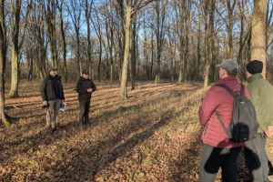 Zielony Pierścień Rzeszowa nabiera kształtów? Lasy wokół miasta bardziej dostępne dla mieszkańców