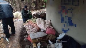 Bezdomność na Podkarpaciu: wzrost, problem dotyka coraz starszych osób