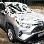 Kradziony elektryk w częściach i Toyota na lawecie. Funkcjonariusze SG udaremnili wywóz łupów