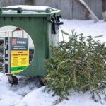 Rzeszów proponuje odbiór choinek spod domu. Warunek zakup worka i zgłoszenie