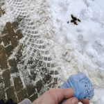 Rzeszów tonie w psich odchodach? Mieszkańcom puszczają nerwy na widok „Przebiśniegów”